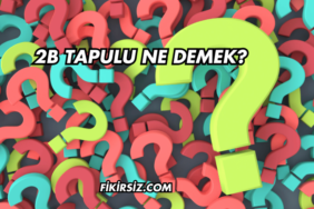 2B Tapulu Ne Demek?