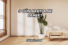 3 Gün Arayla Ne Demek?
