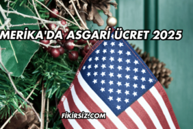 Amerika'da Asgari Ücret 2025