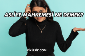 Asliye Mahkemesi Ne Demek?