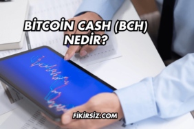 Bitcoin Cash (BCH) Nedir?