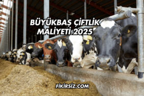 Büyükbaş Çiftlik Maliyeti 2025
