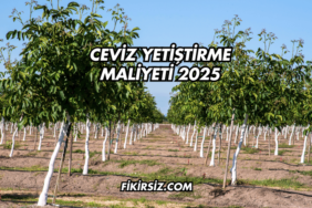 Ceviz Yetiştirme Maliyeti 2025