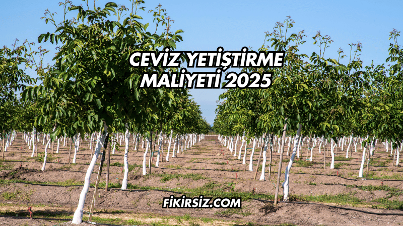 Ceviz Yetiştirme Maliyeti 2025