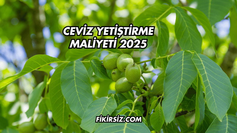 Ceviz Yetiştirme Maliyeti 2025