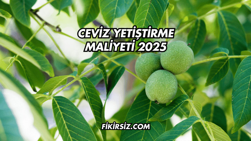 Ceviz Yetiştirme Maliyeti 2025