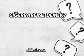 Ciğerpare Ne Demek?