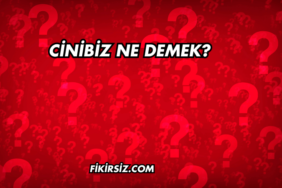 Cinibiz Ne Demek?