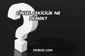 Cinsel Çekicilik Ne Demek?