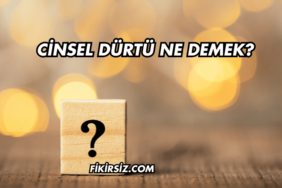 Cinsel Dürtü Ne Demek?