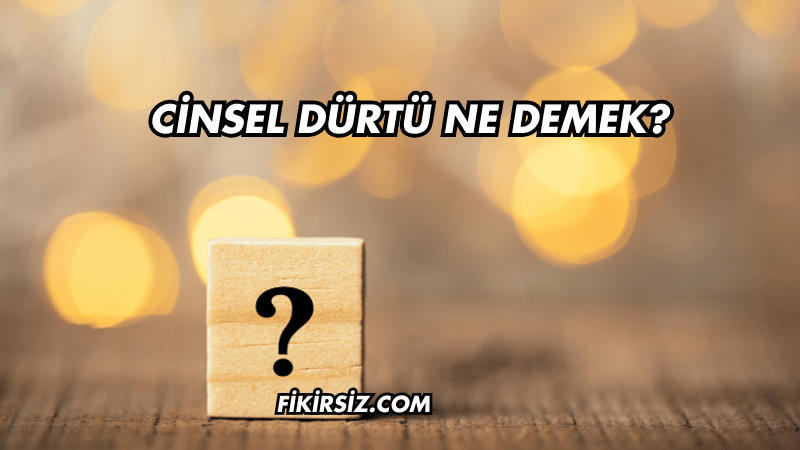 Cinsel Dürtü Ne Demek?