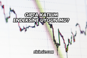 Gıpta Katılım Endeksine Uygun mu?