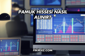 Pamuk Hissesi Nasıl Alınır?
