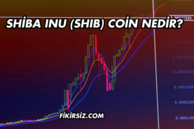 Shiba Inu (SHIB) Coin Nedir?