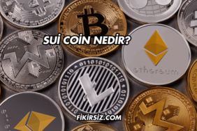 Sui Coin Nedir?