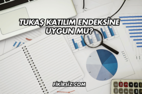 Tukaş Katılım Endeksine Uygun mu?
