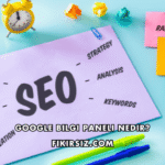 Google Bilgi Paneli Nedir?